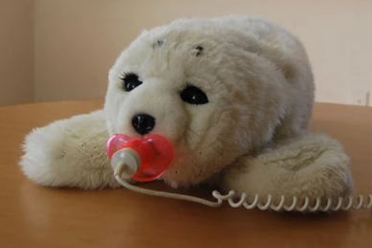 A robotic therapy seal used to help patients with Alzheimer's or dementia.